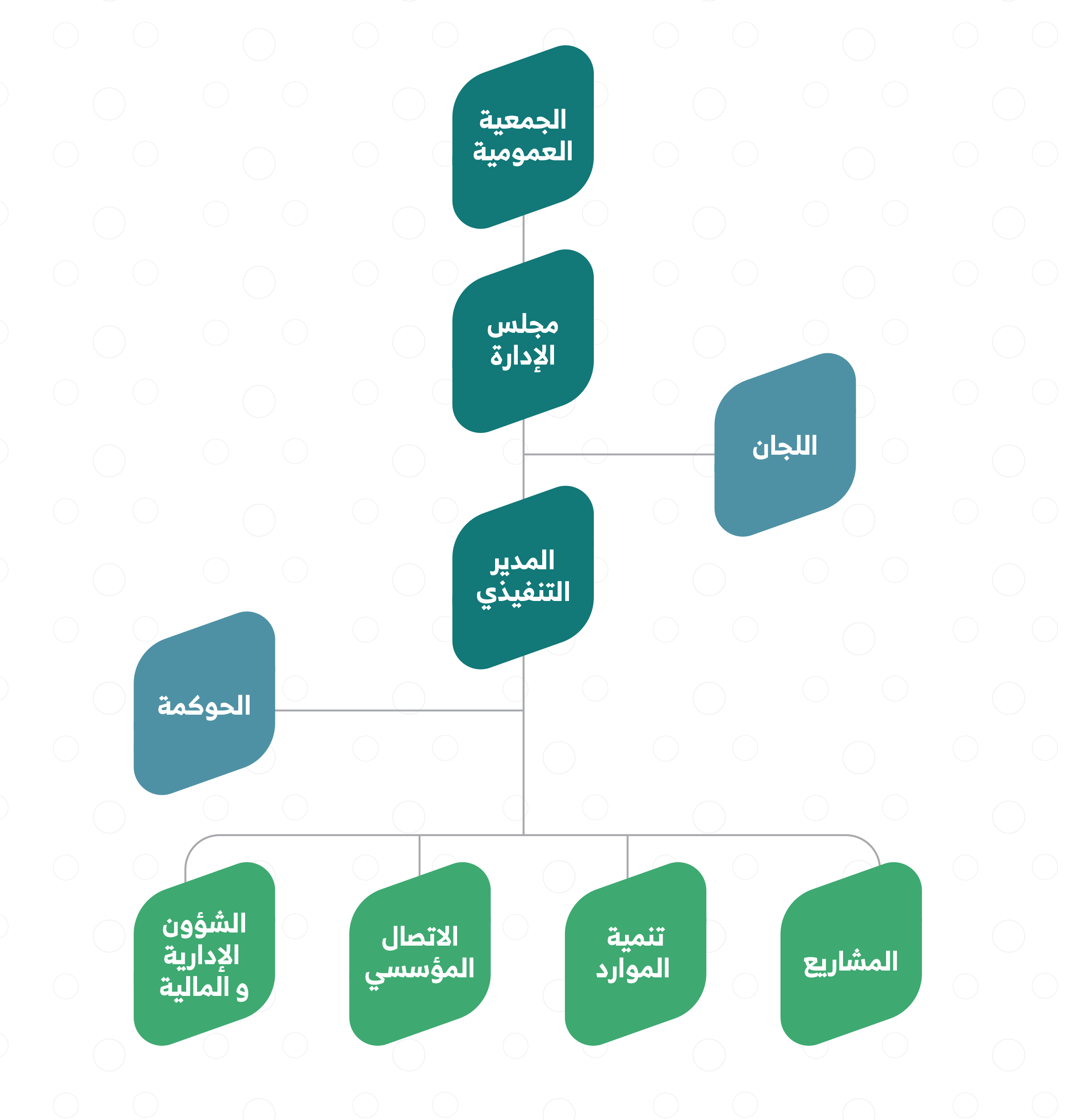 تقرير جمعية القيروان 2024م 11